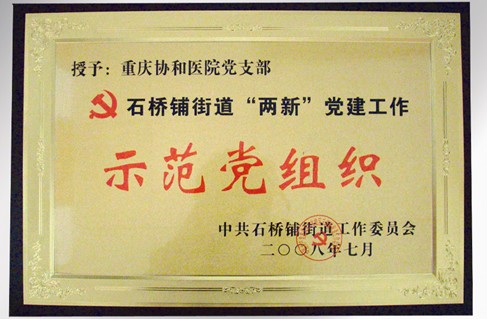 中共石橋鋪街(jiē)道(dào)工(gōng)作(zuò)委員(yuán)會(huì)示範黨組織